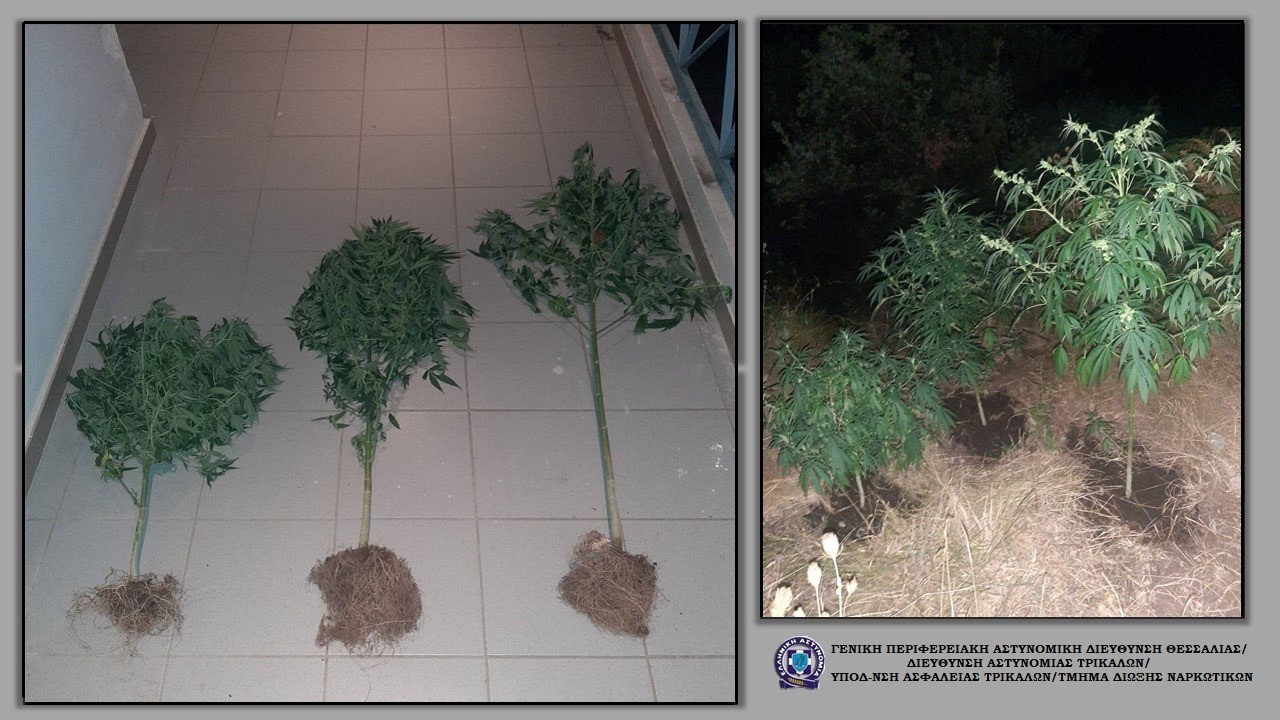 Δώδεκα συλλήψεις για ναρκωτικά το τελευταίο πενθήμερο